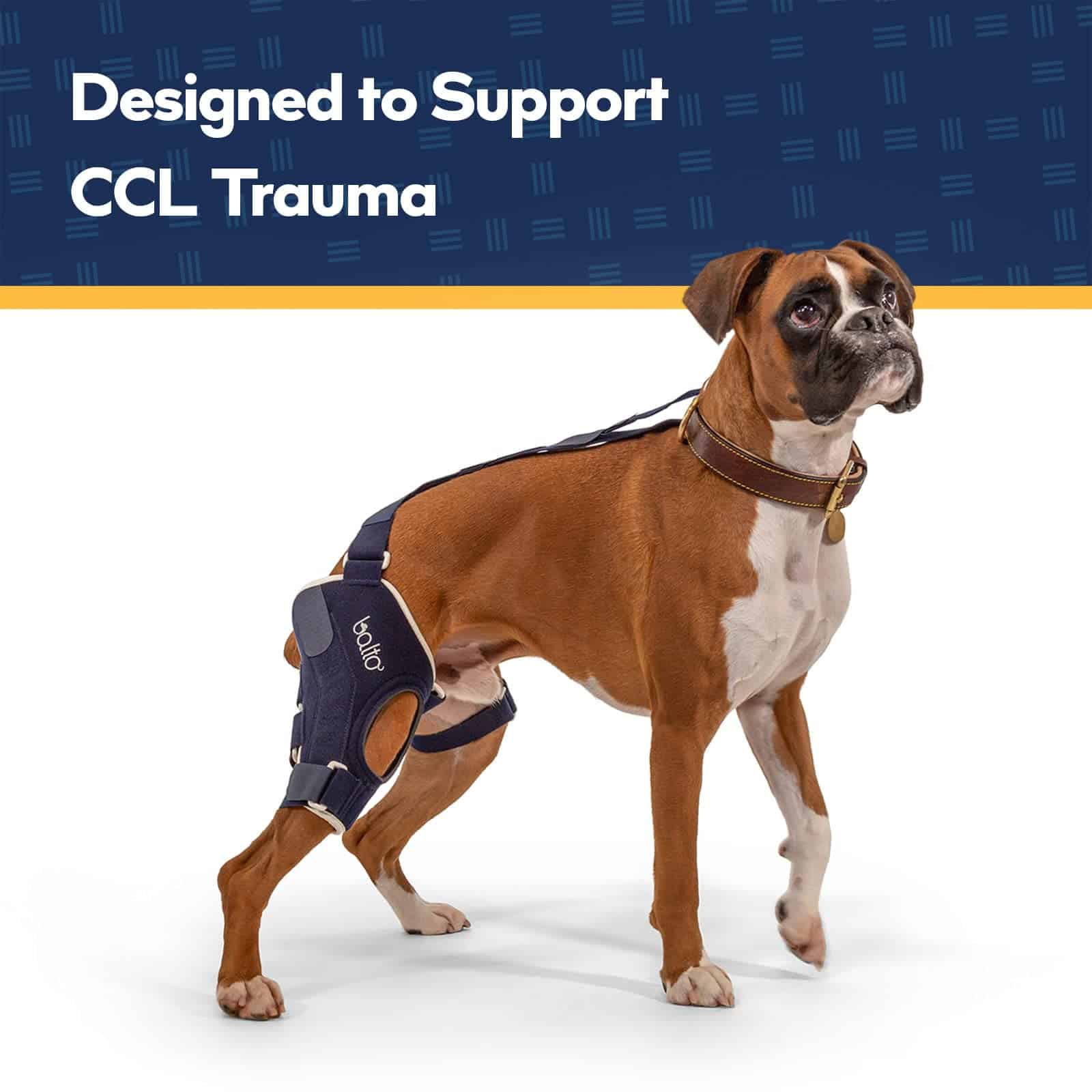 Balto Jump CCL Brace - Férula para rodilla de perro - Con - Imagen 3