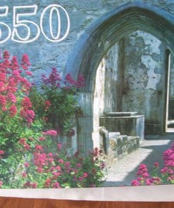 Rompecabezas del Condado de Kerry, Irlanda de Guild