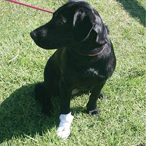 Botas para la recuperación de heridas para perros 8-Pack - Imagen 6