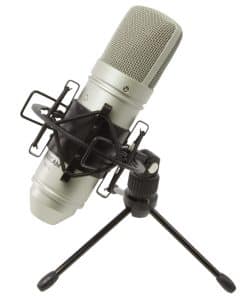 Micrófono de Condensador de Diafragma Grande Tascam TM-80,