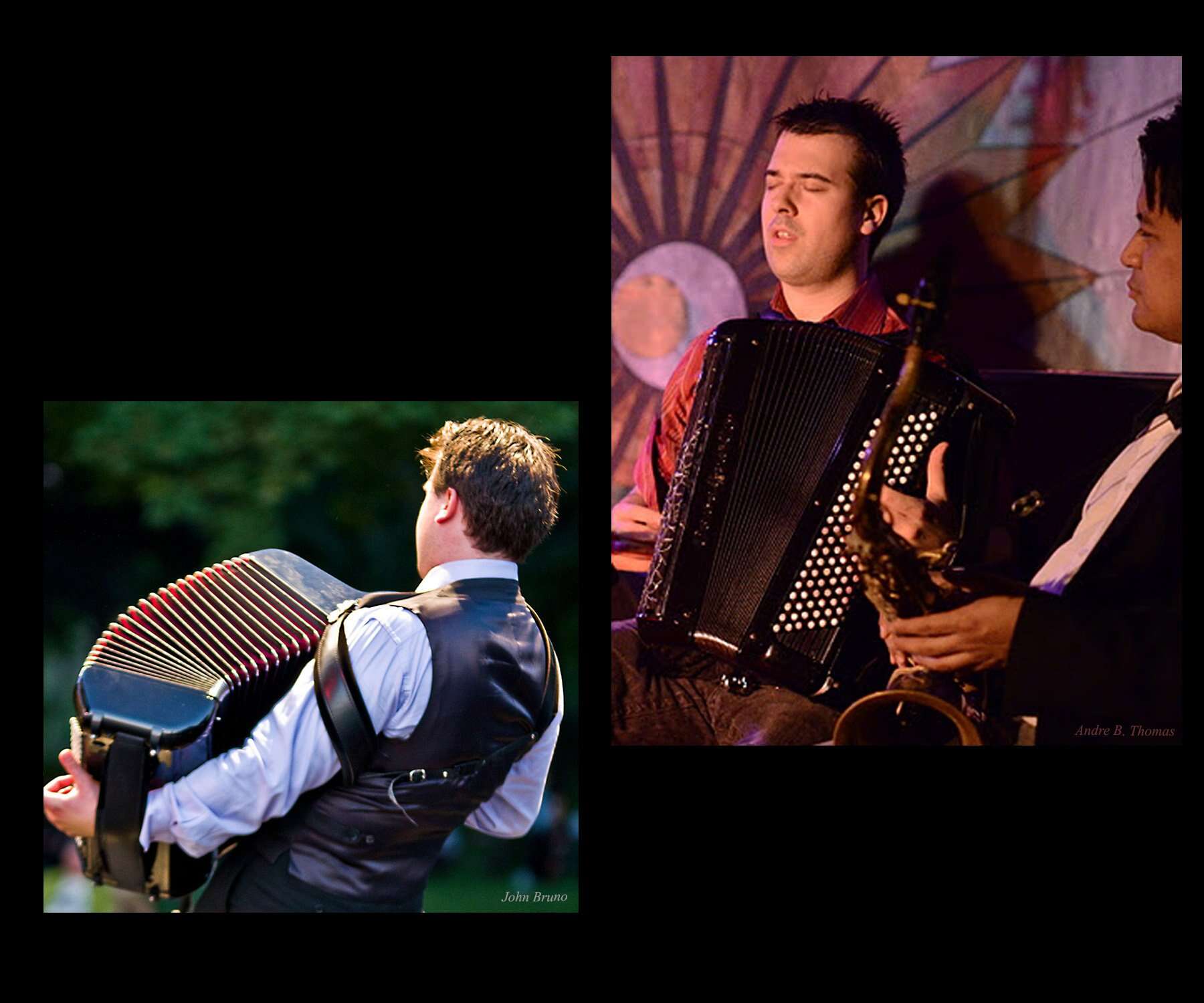 Myers Pickups The Feather-2 Pickup de Acordeón con 2 - Imagen 7