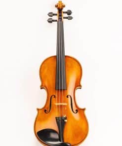Violín Maestro Old spruce Stradi Modelo 509 D Z Strad con