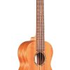 Ukulele de Concierto Cordoba Protege U1-M Natural