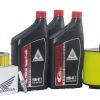 Kit de Afinación para HONDA TRX300 FOURTRAX 300 1992-1997