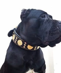 Collar de Perro de Cuero Genuino Bestia Maximus, Razas