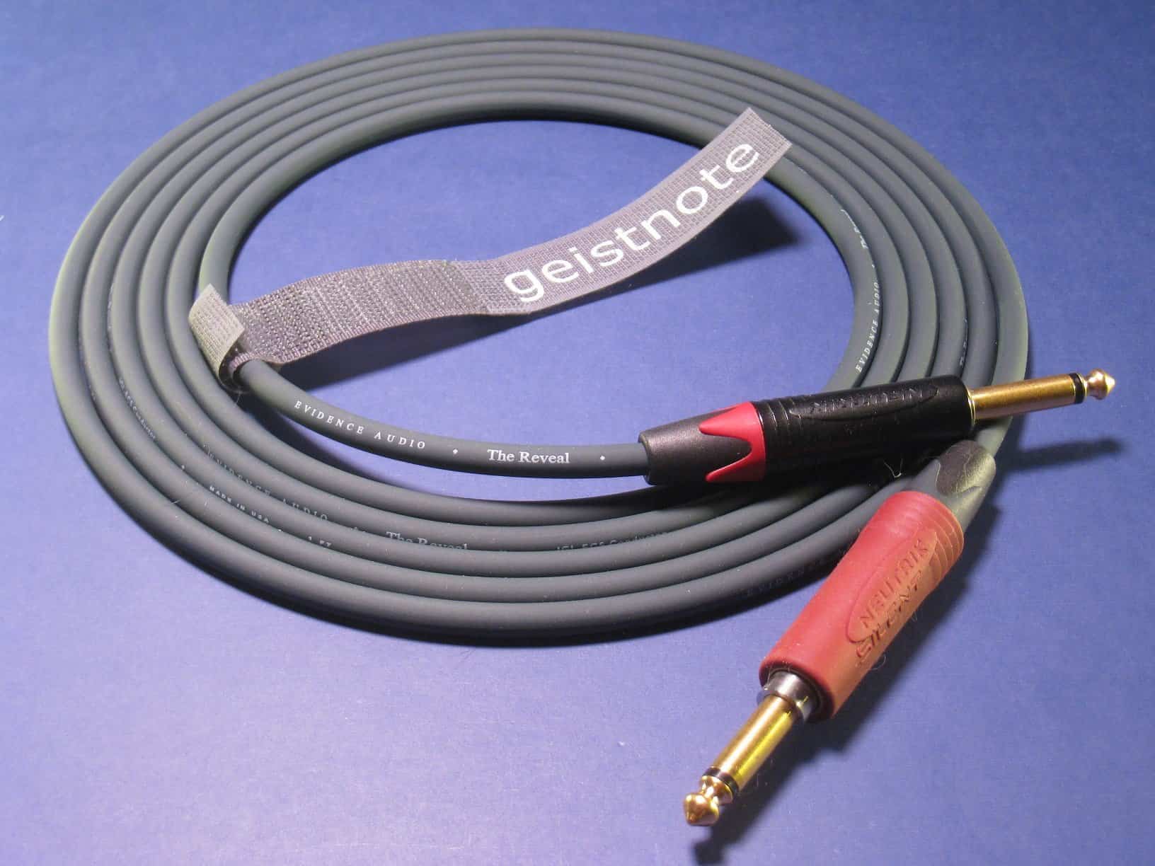 Cable de Instrumento Evidence Audio -Oro - Imagen 3