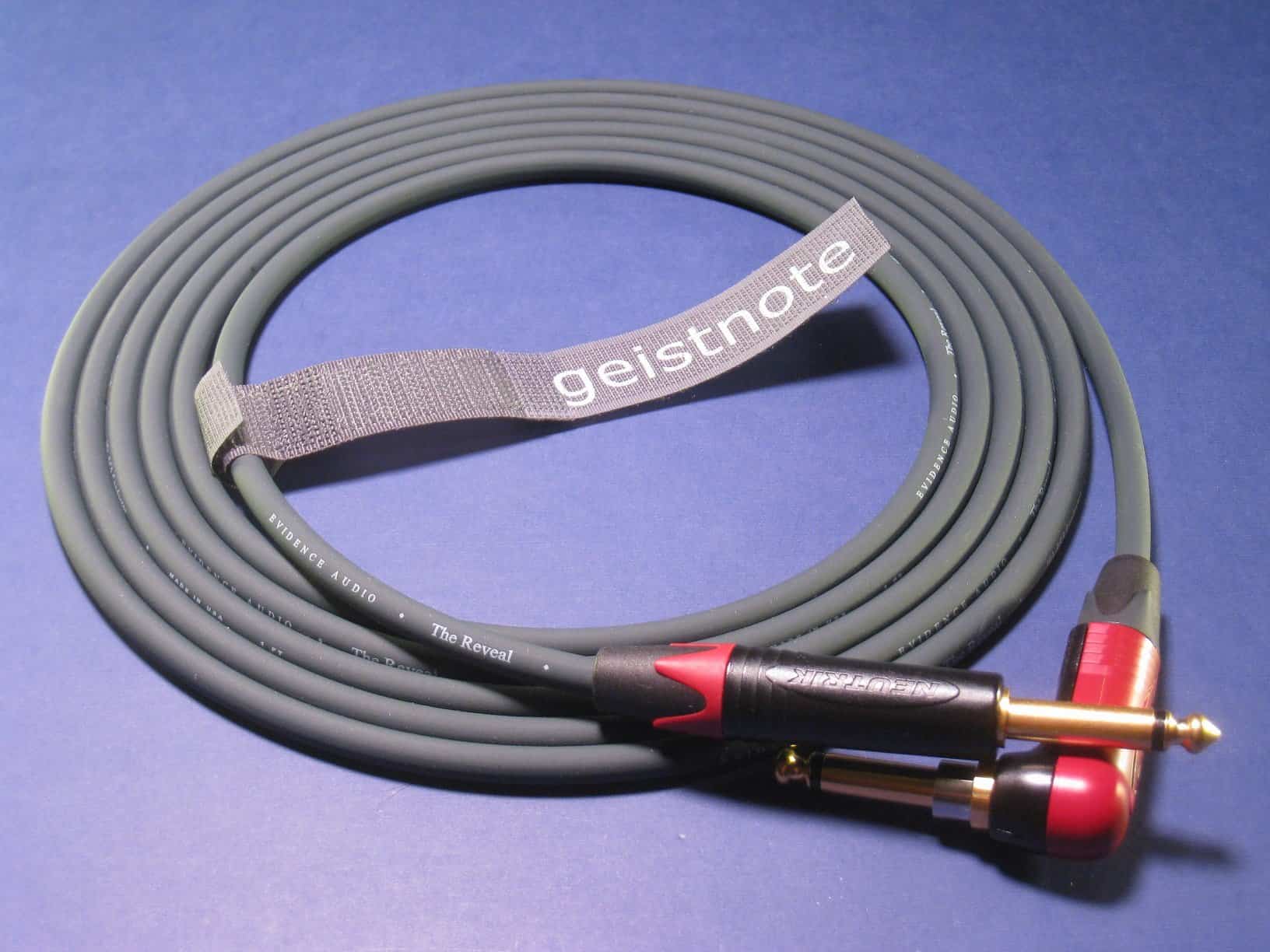 Cable de Instrumento Evidence Audio -Dorado - Imagen 3