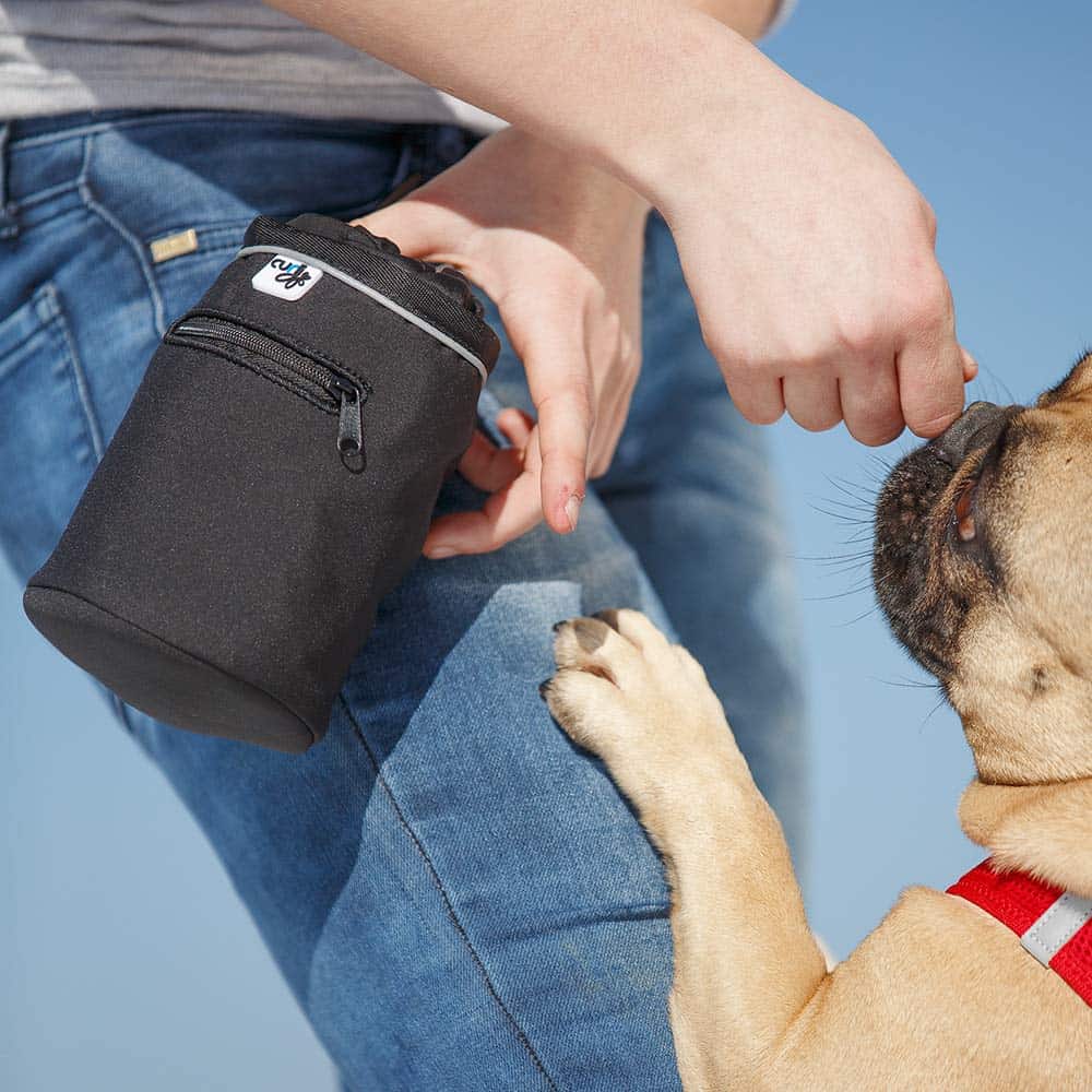 Bolsa de premios para perros - Imagen 3