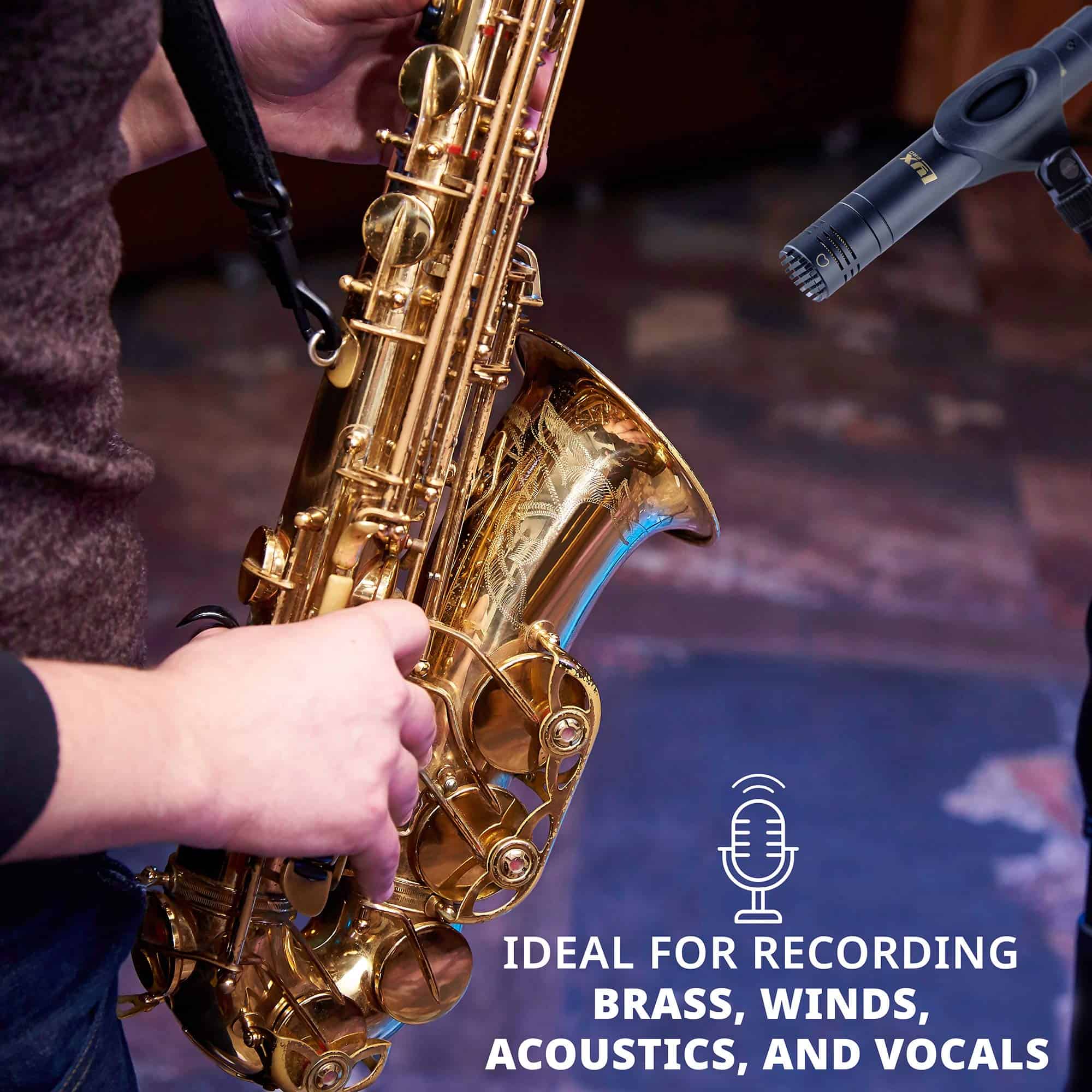 Set de micrófonos de lápiz condensador estéreo LyxPro - Imagen 8