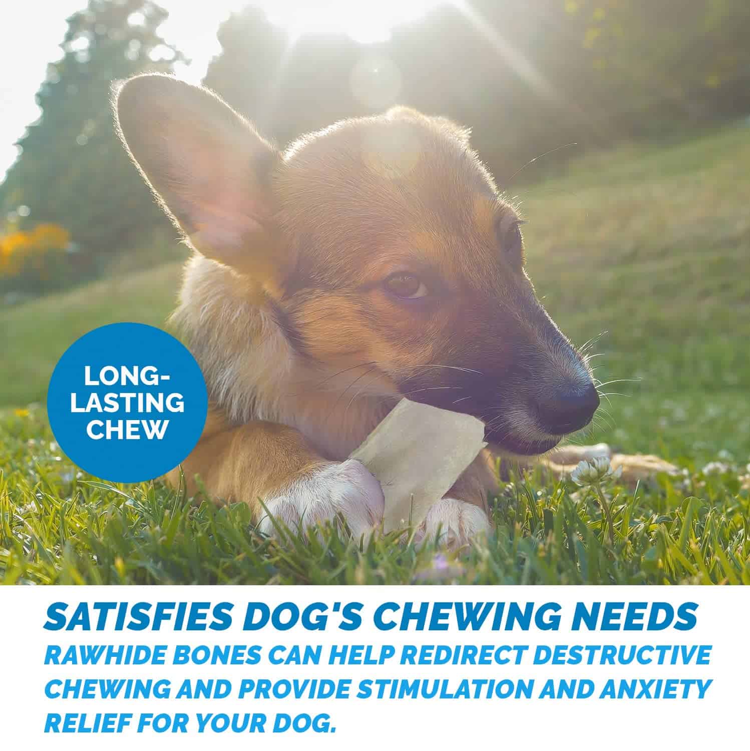 123 Treats Chips de Piel Cruda, Premios para Perros de Piel - Imagen 5