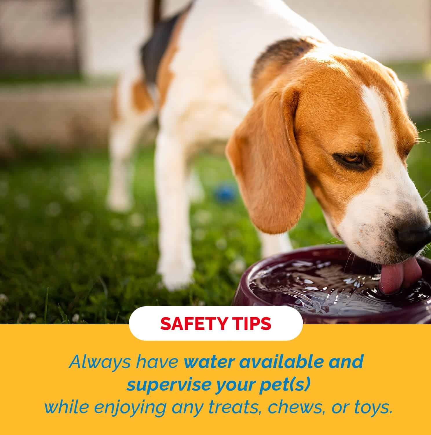 123 Treats Chips de Piel Cruda, Premios para Perros de Piel - Imagen 7