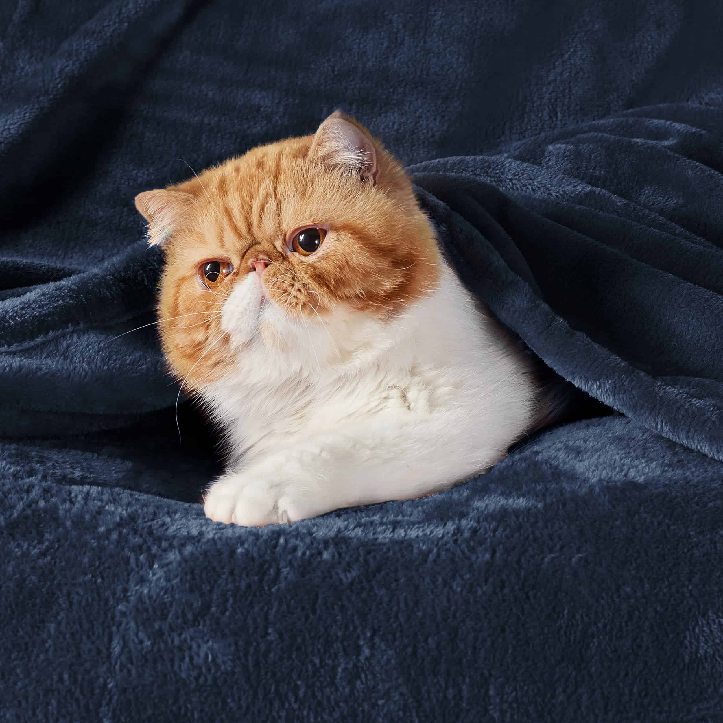 Mantas de Felpa Azul Marino Bedsure Tamaño King - Manta de - Imagen 3