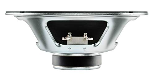 Altavoz de guitarra Celestion Ten 30 de 10", 16 ohmios - Imagen 3