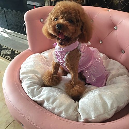 Cama para Perros Garden Pets Princesa Táctica VIP Bichón - Imagen 4