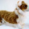 Peluche de Perro Welsh Corgi de Hansa 13.7" de Largo x 9"