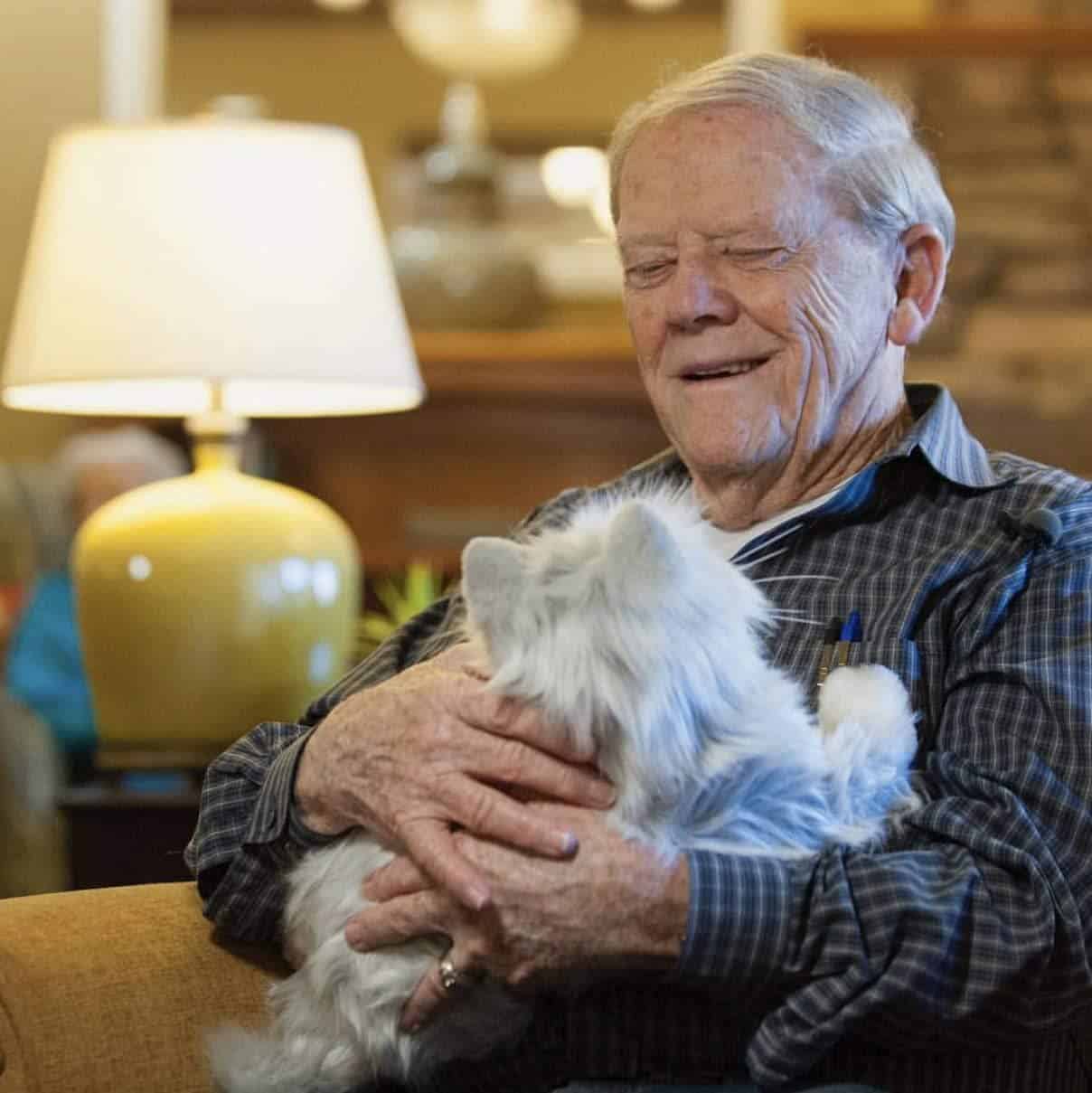 JOY FOR ALL - Gato Plateado con Guantes Blancos - Mascotas - Imagen 7