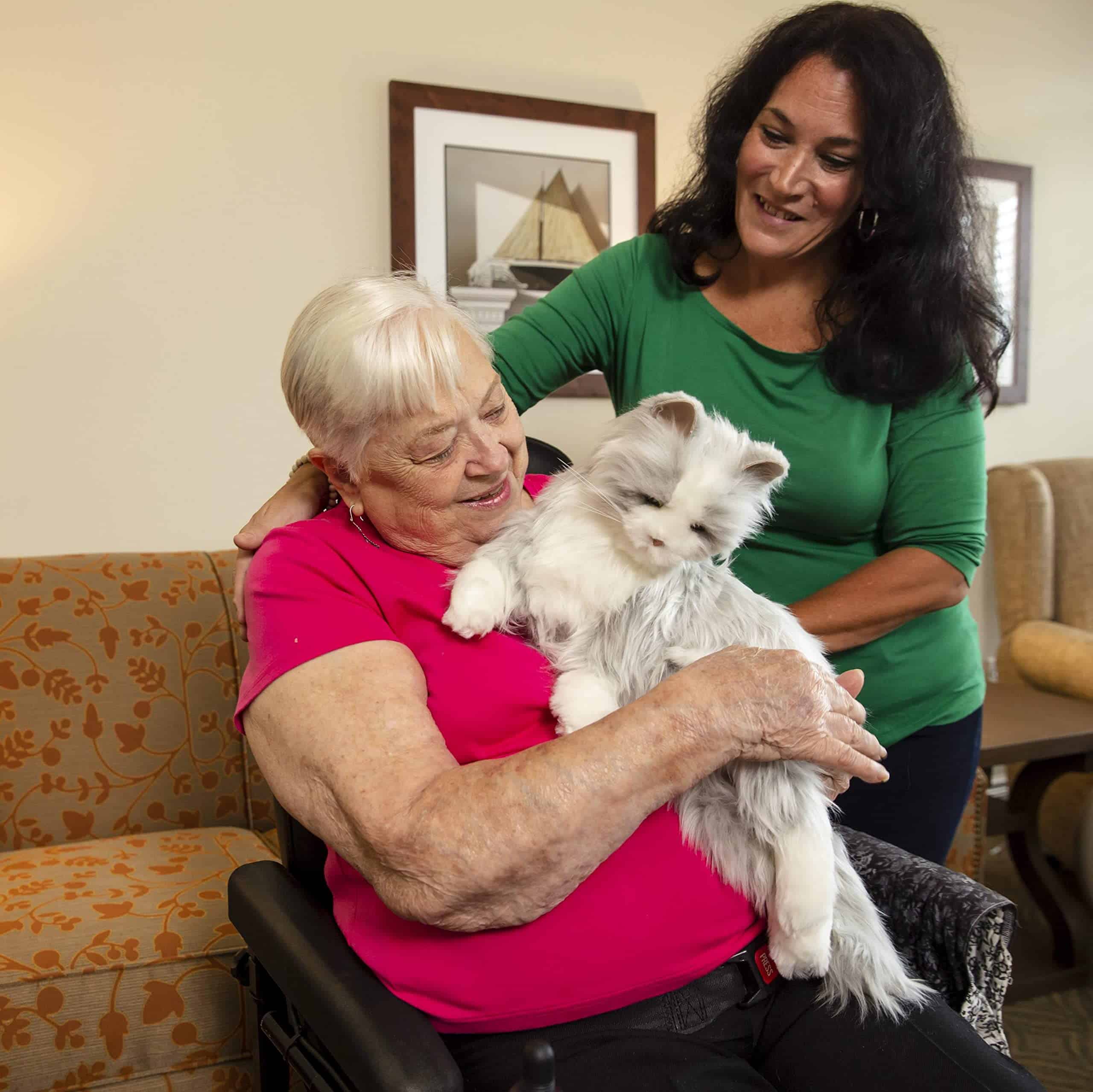 JOY FOR ALL - Gato Plateado con Guantes Blancos - Mascotas - Imagen 8