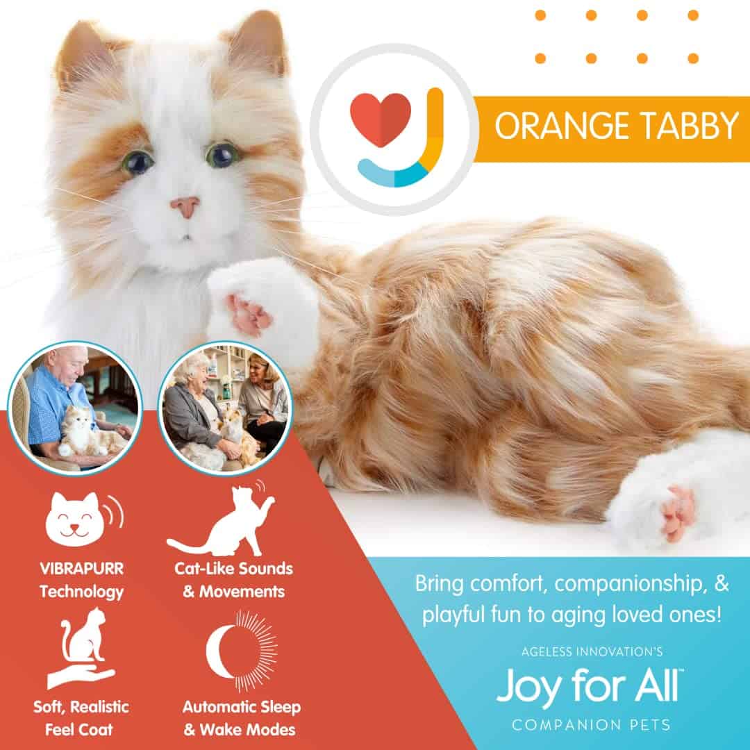 JOY FOR ALL - Gato naranja atigrado - Mascotas compañeras - Imagen 5