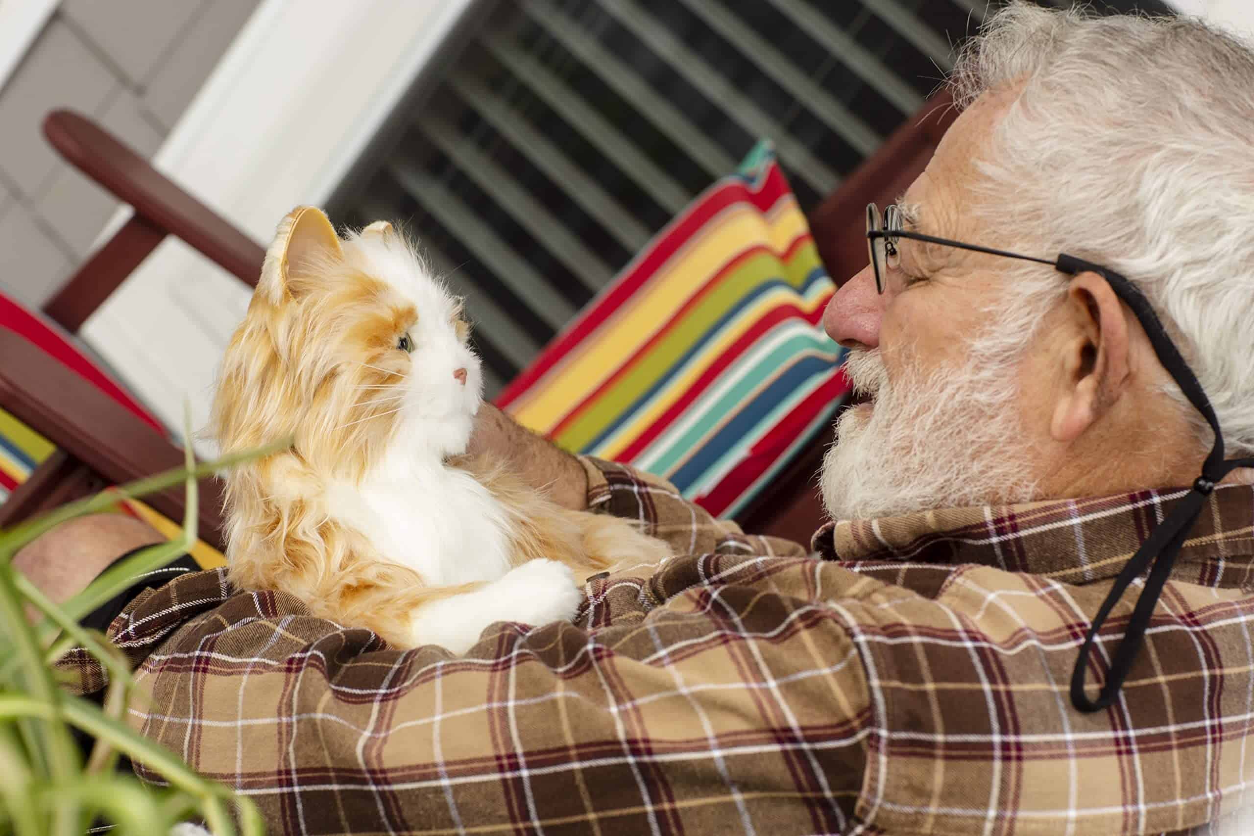 JOY FOR ALL - Gato naranja atigrado - Mascotas compañeras - Imagen 8