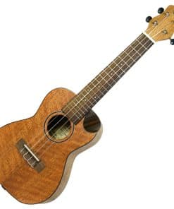 Ukulele de Viaje Journey Instruments Meranti Concert -