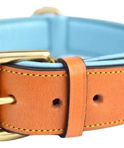 Collar para Perro de Cuero Acolchado Soft Touch, Extra