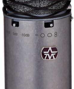 Micrófono de Condensador de Gran Diafragma Multi-Patrón