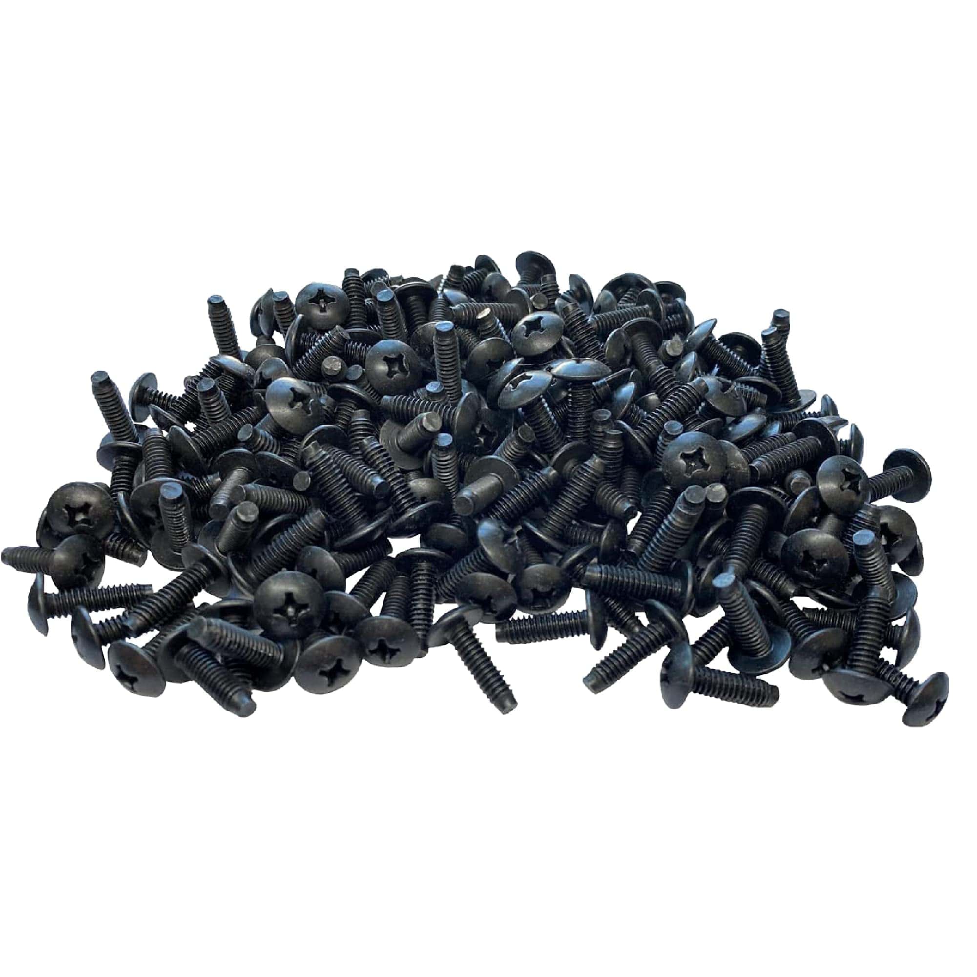 RackGold 12-24 Tornillos de Rack Phillips 100 Paquete -