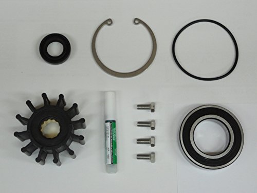 Juego de Reparación y Reconstrucción de Bomba de Agua Cruda