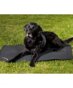 Colchón para Perros Back on Track Cage (Grande (39.5" x