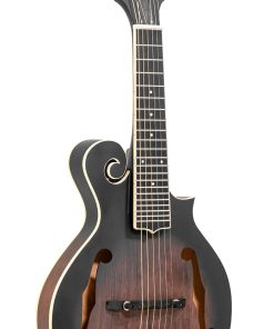 Gold Tone F-6: Mando-Guitarra de estilo F con pastilla y