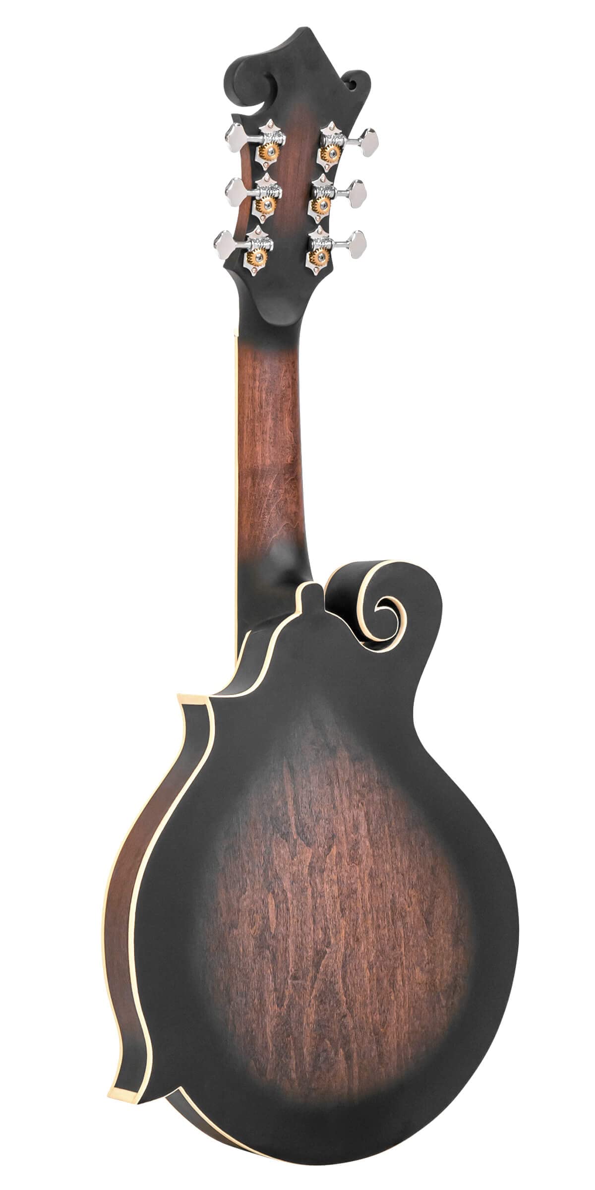 Gold Tone F-6: Mando-Guitarra de estilo F con pastilla y - Imagen 6