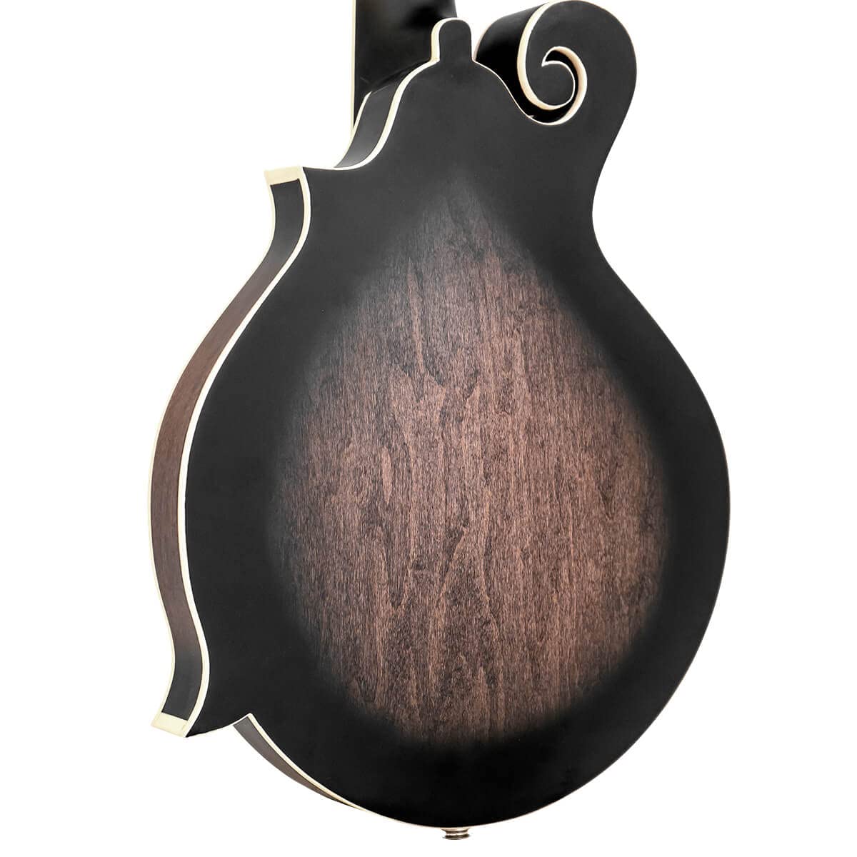 Gold Tone F-6: Mando-Guitarra de estilo F con pastilla y - Imagen 5