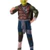 Disfraz de Michelangelo de los Turtles con Musculos Deluxe,