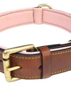 Collar de Cuero Acolchado Soft Touch para Perro, Marrón con