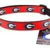 Collar para Perro Georgia Bulldogs de All Star Dogs -