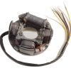 Bobina de generador magneto del estator Sea Doo 717 720