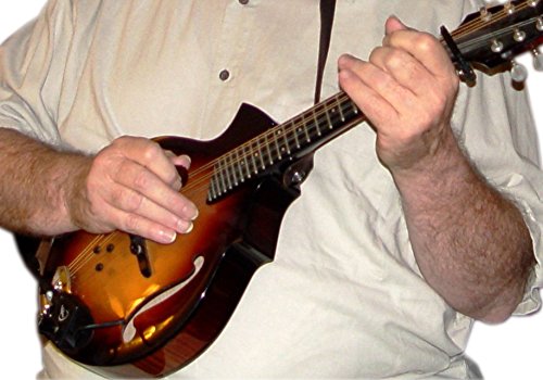 Myers Pickups Octave Mandolin Pickup con Micro-Gooseneck - Imagen 6