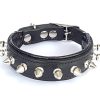 Collar Bestia "Spiky con Puntas de Tornillo Bluntas.