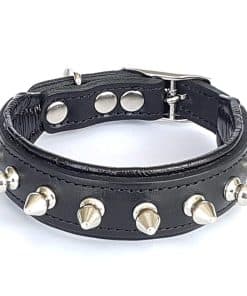 Collar Bestia "Spiky con Puntas de Tornillo Bluntas.