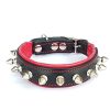 Collar Bestia "Spiky" con puntas de tornillo roma. Adecuado