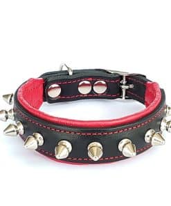 Collar Bestia "Spiky" con puntas de tornillo roma. Adecuado