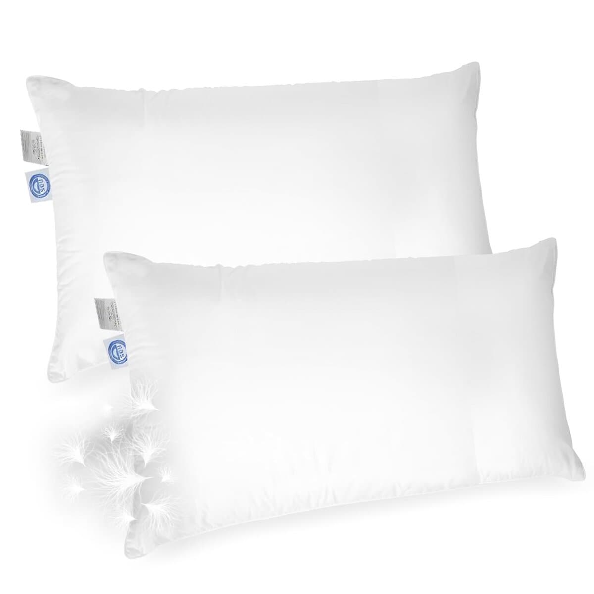Almohadas de Plumas Elite Premium de East -Blanco