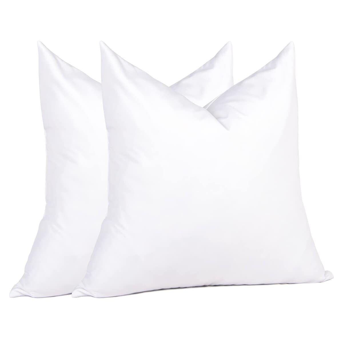 Set de 2 Almohadones de Plumas puredown para Sofá, Sillón