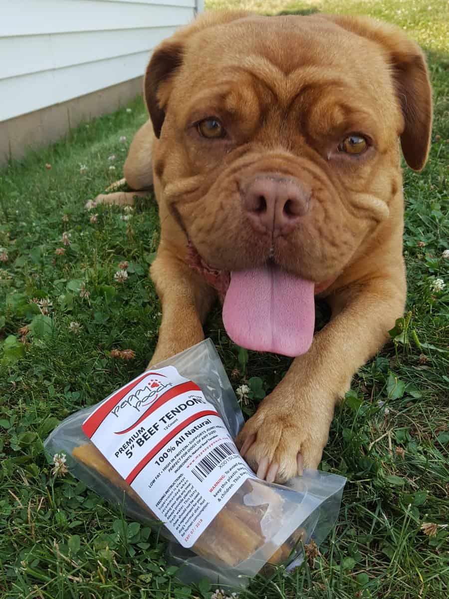 Peppy Pooch Beef Tendones Sticks de 5" - Paquete de 12. - Imagen 9