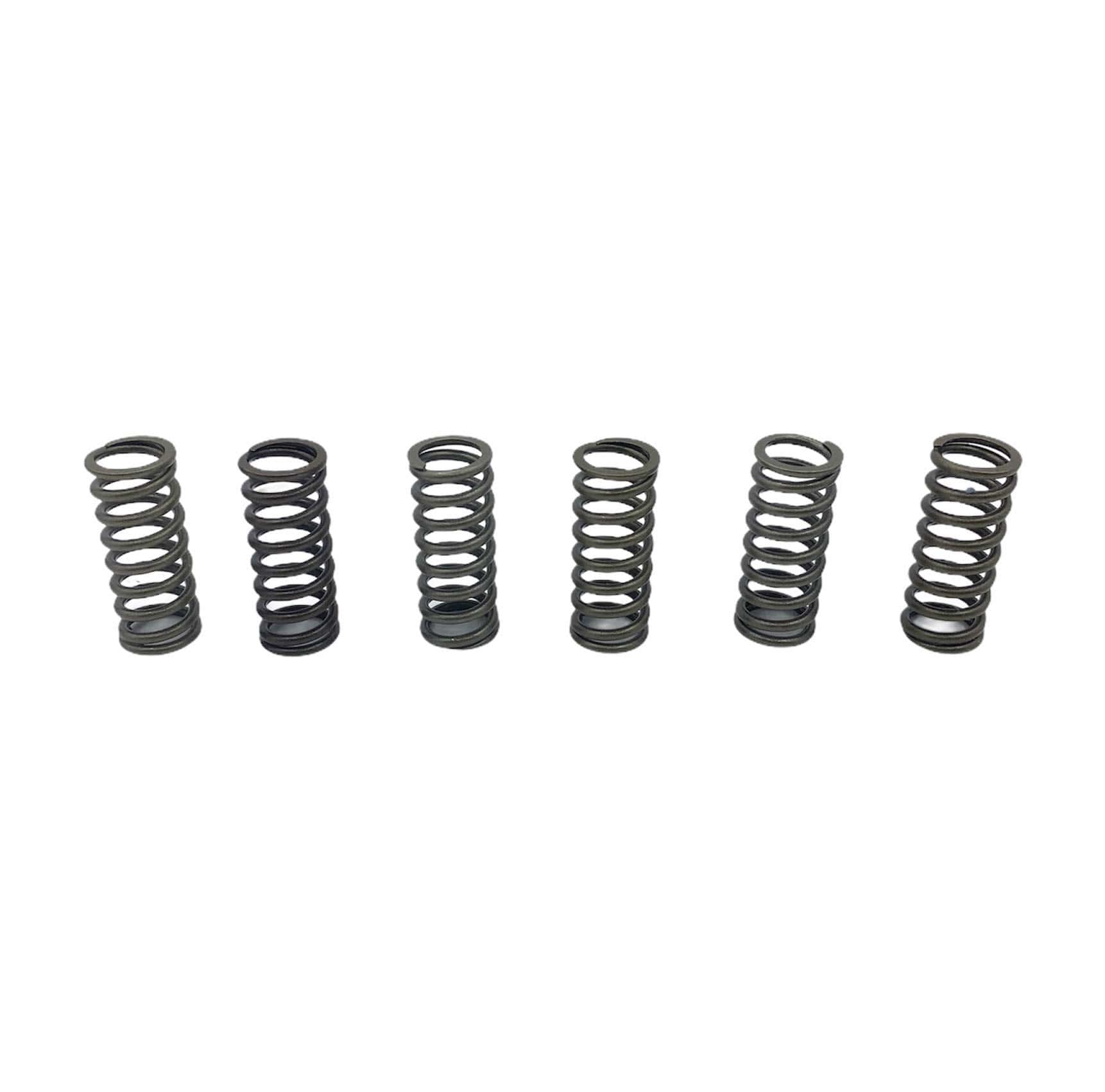 Clutch Plates Springs Heavy Duty Set Compatible con Suzuki - Imagen 5
