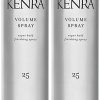 Laca para el cabello Kenra Professional Volume Spray #25, 2