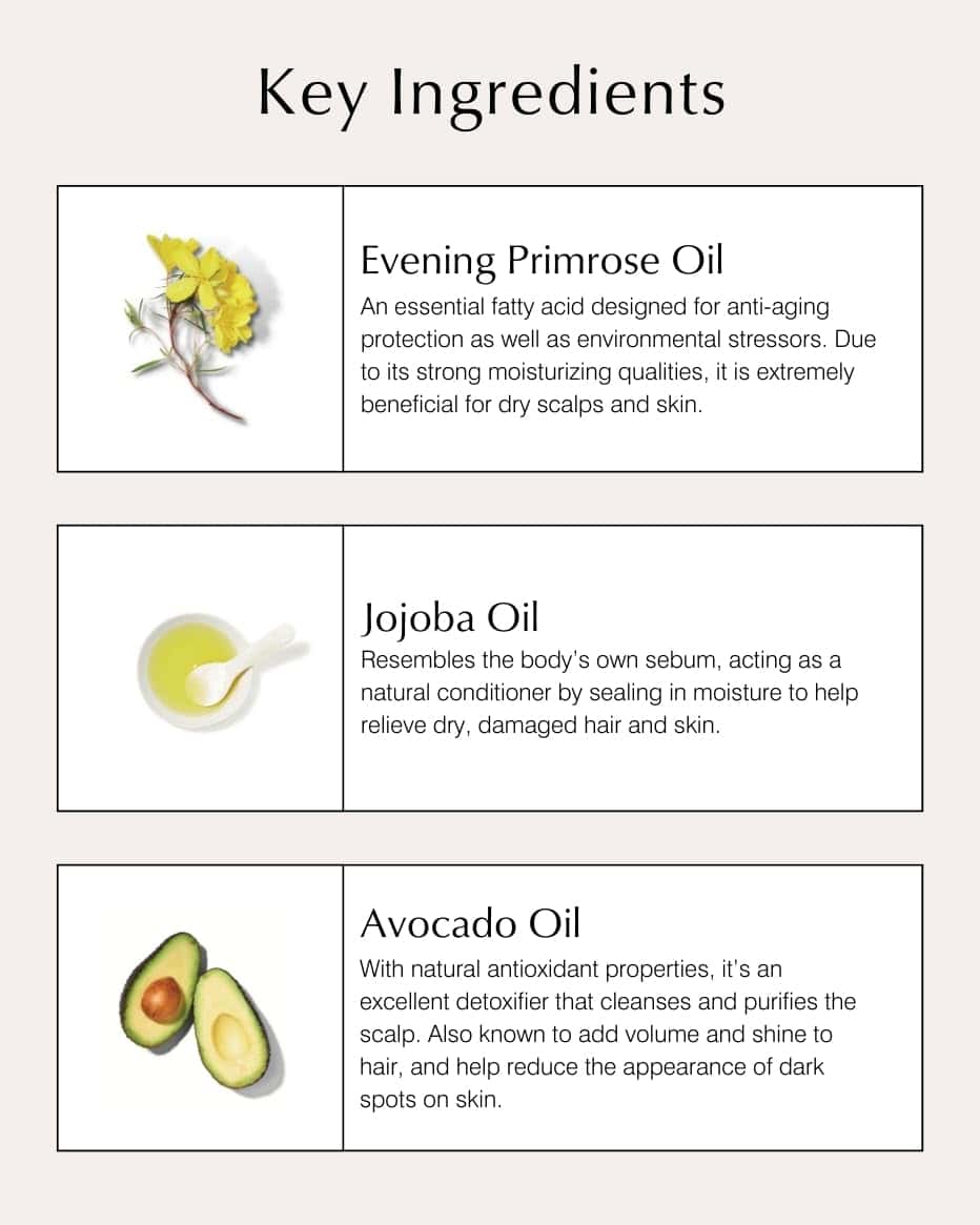 Shampoo John Masters Organics para Cabello Seco 16 oz | - Imagen 6