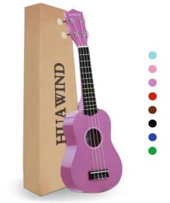 HUAWIND Ukulele, Ukelele Soprano de 21 pulgadas para
