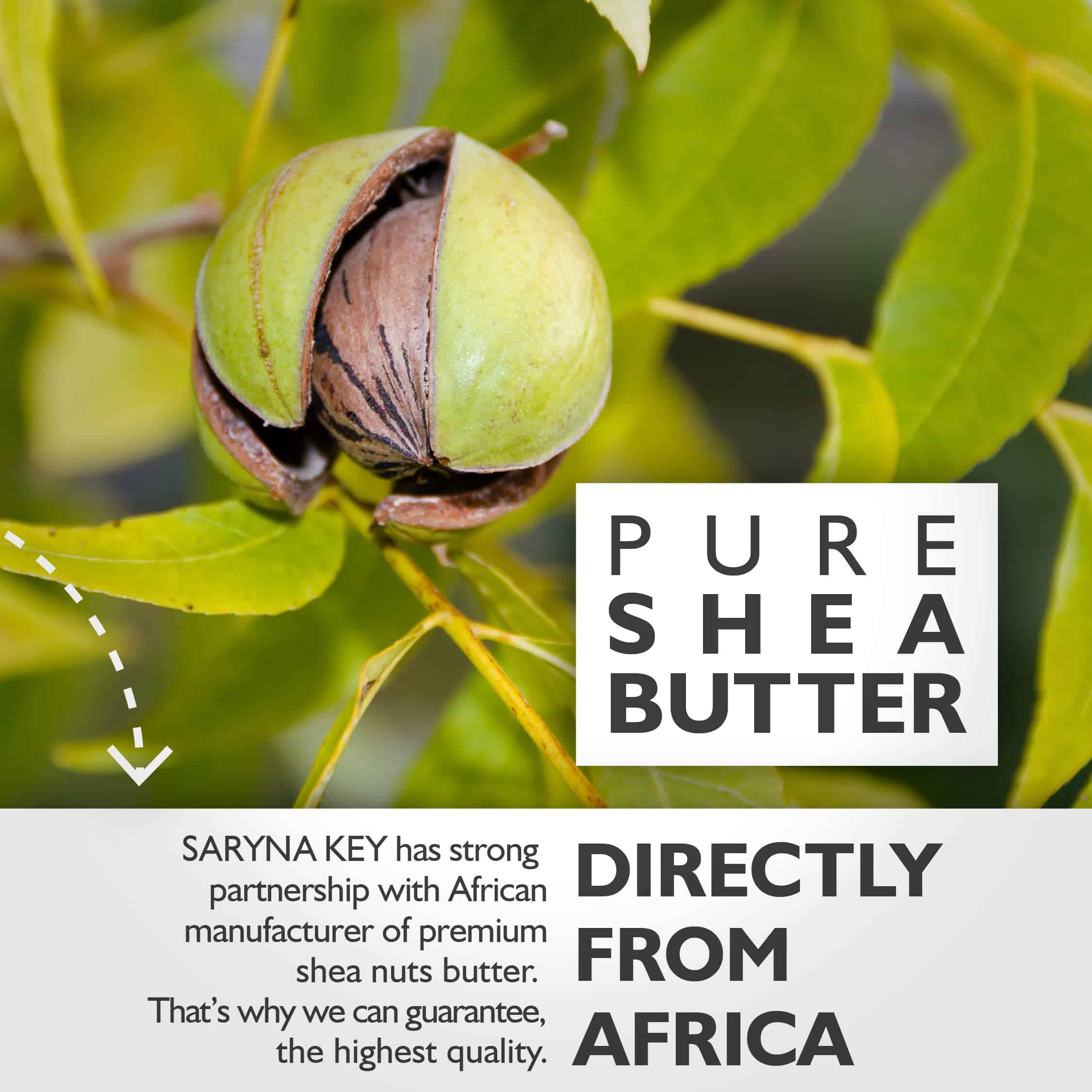 Shampoo Anti Caspa Saryna Key - Todo Tipo de Cabello - - Imagen 5