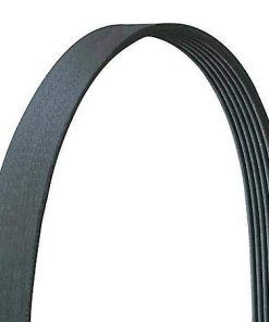 Correa de la bomba de agua del alternador serpentina